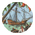 1492 : Dcouverte de l'Amrique